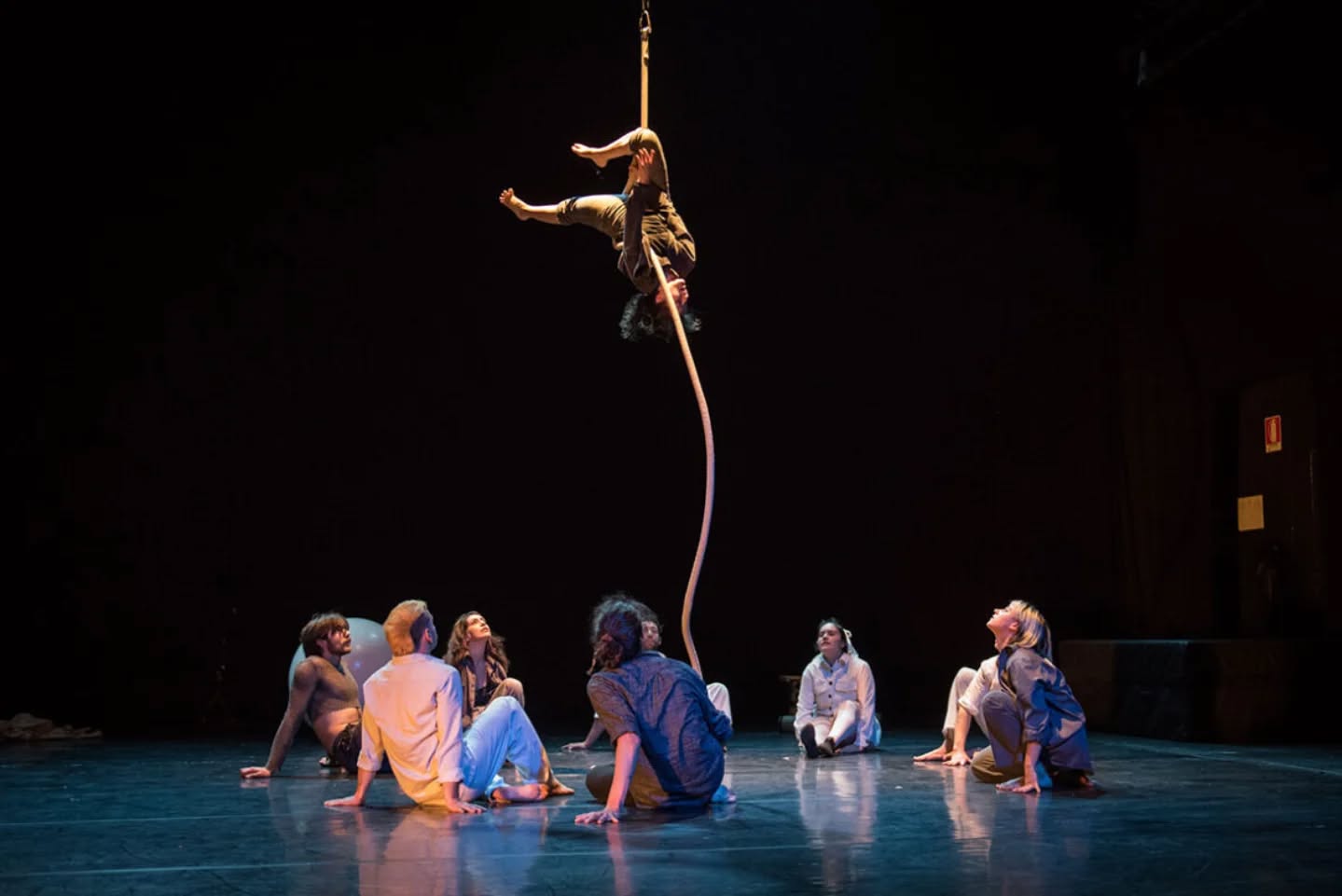 “Il rischio del fenicottero”, primo Circo in Pillole a cura della Scuola FLIC

🎪 www.circoitalia.it